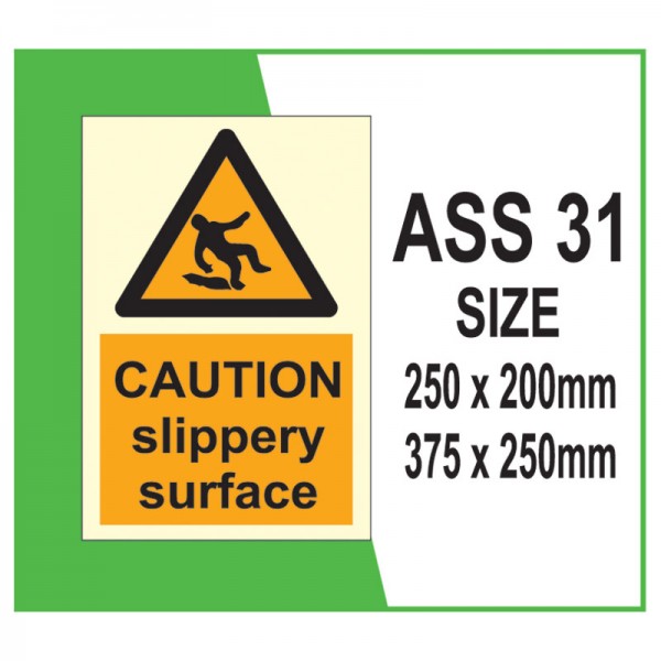 Aqua Safety ASS 31