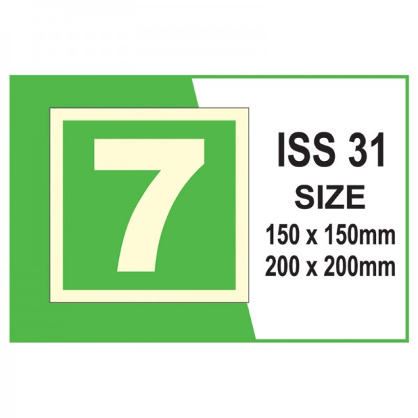 IMO Safety ISS 31