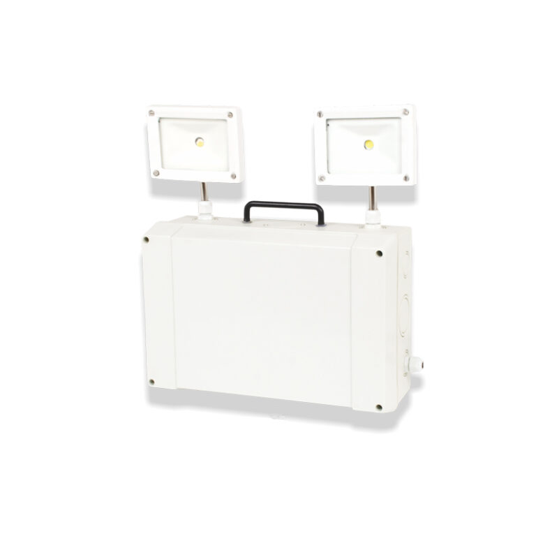 Reliable LED Exit Lights | Autolite India