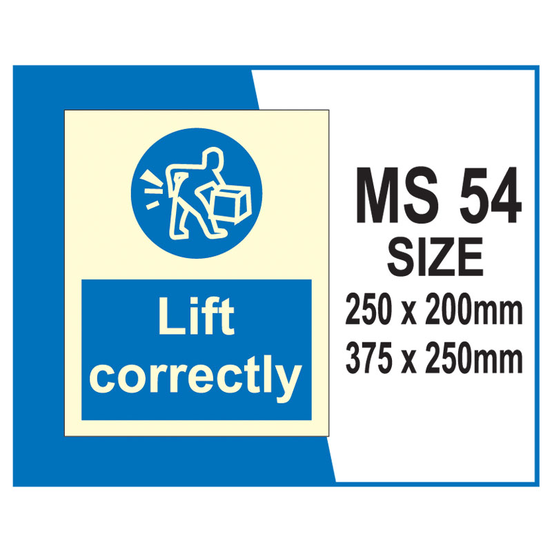 Mandatory MS 54