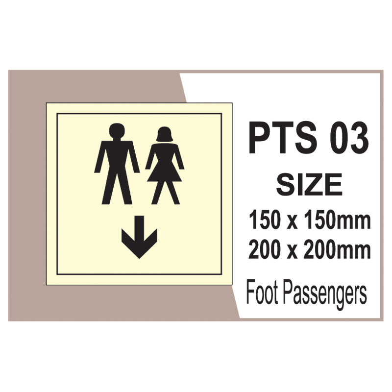 Passenger Vessel & Terminal PTS 03