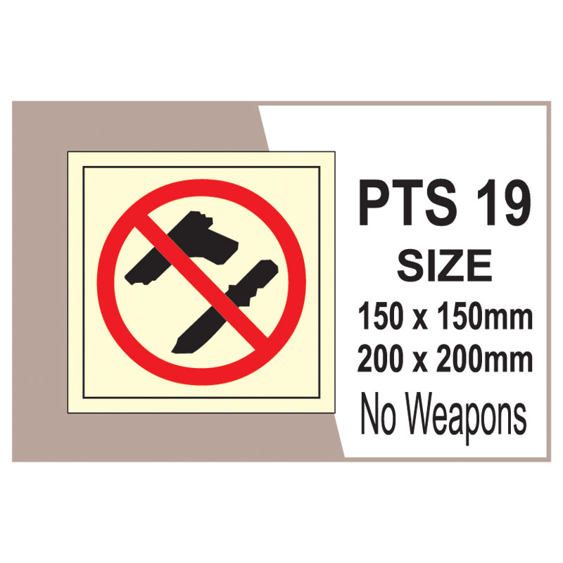 Passenger Vessel & Terminal PTS 19