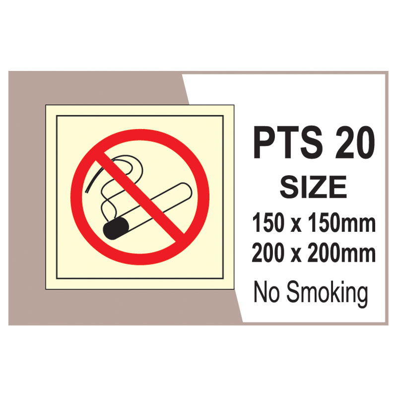 Passenger Vessel & Terminal PTS 20