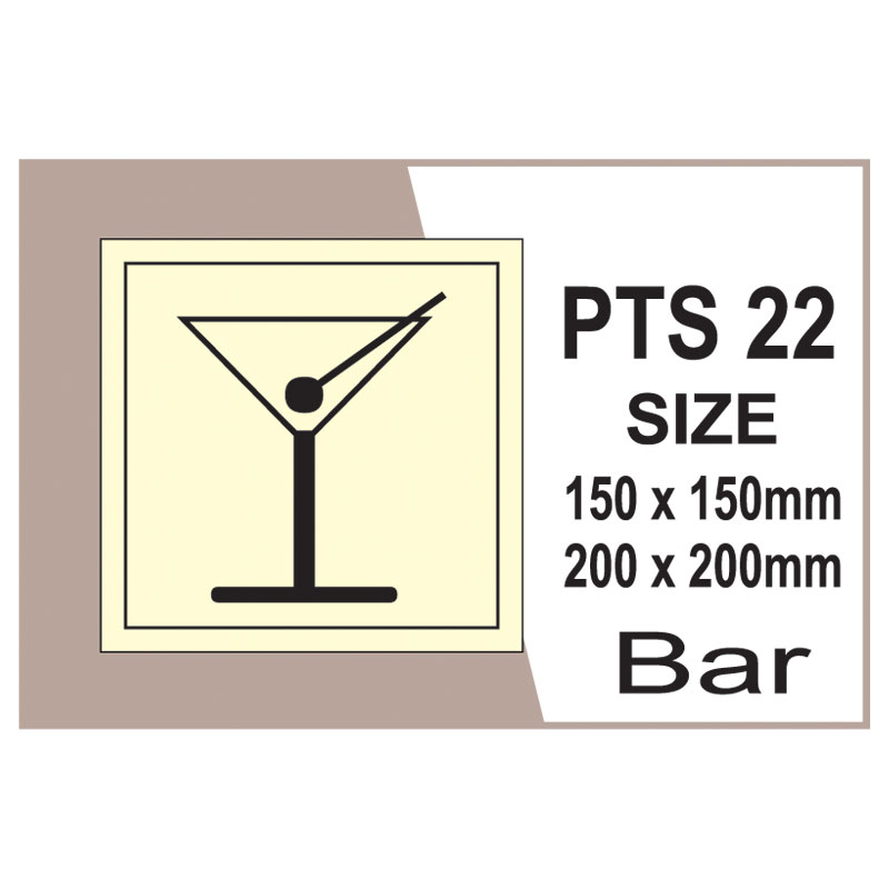 Passenger Vessel & Terminal PTS 22