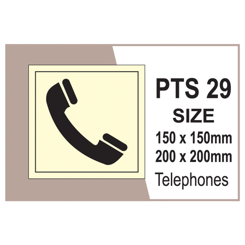 Passenger Vessel & Terminal PTS 29