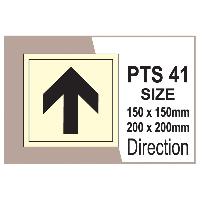 Passenger Vessel & Terminal PTS 41