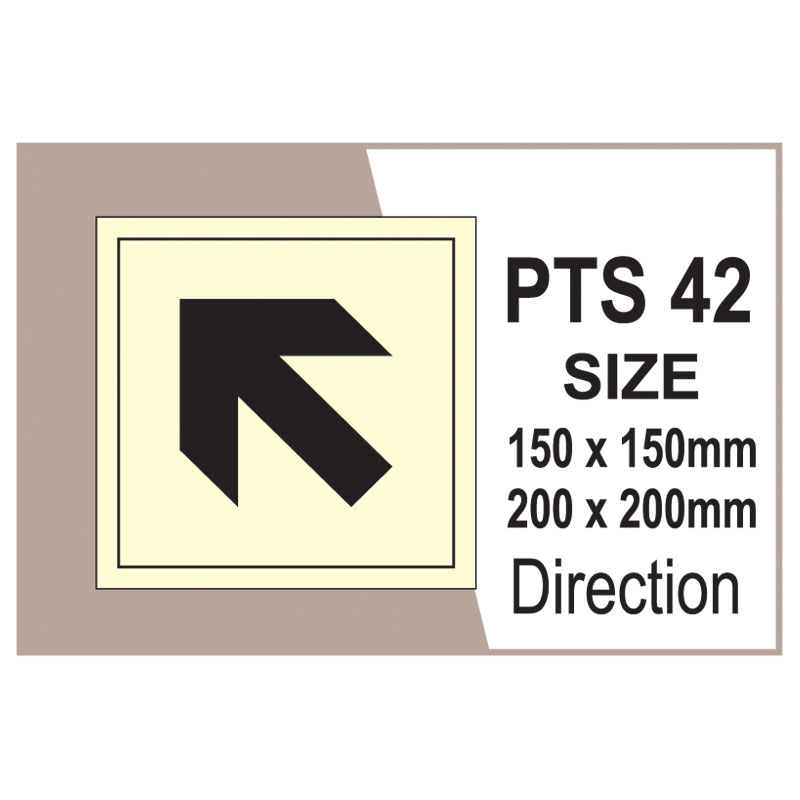 Passenger Vessel & Terminal PTS 42