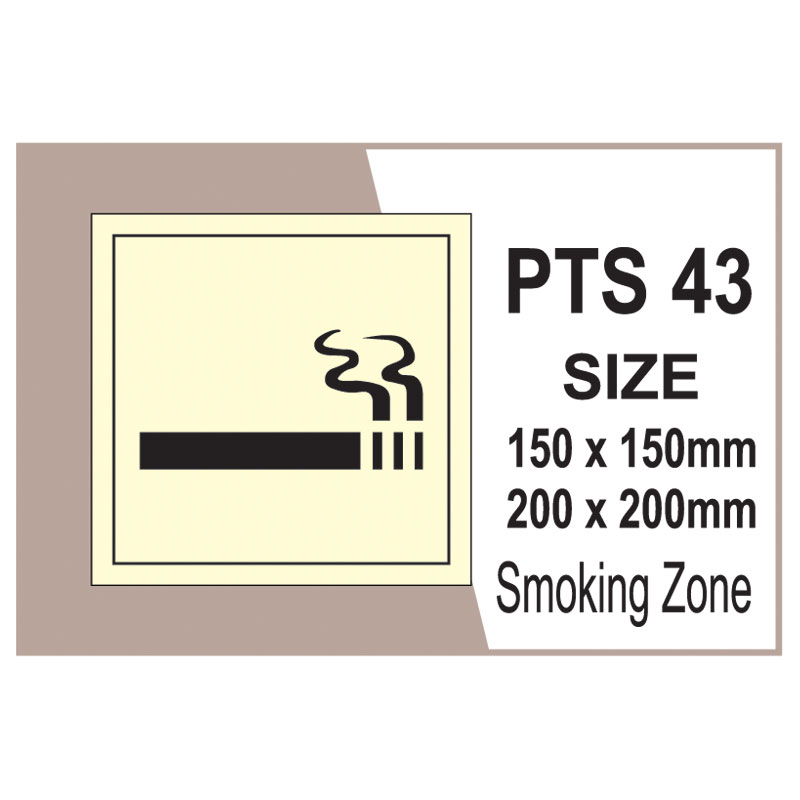 Passenger Vessel & Terminal PTS 43