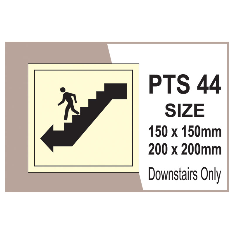 Passenger Vessel & Terminal PTS 44